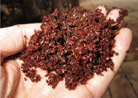 Chaîne de production automatique de bonbons au sirop de datte, aux fruits et au chocolat, capacité 5000 kg/h, certifiée CE, en acier inoxydable de qualité alimentaire, sous vide à basse température