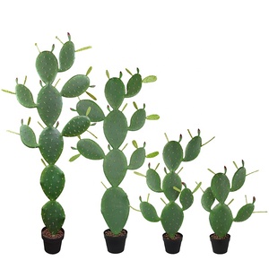 Vente en gros Grande plante Bonsaï Fleur en plastique <span class=keywords><strong>Cactus</strong></span> artificiel pour décoration de salle à manger - Product Image 6