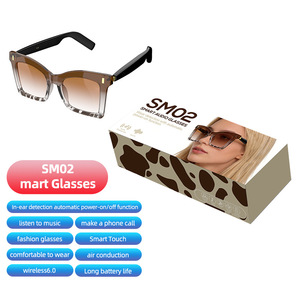 Lunettes intelligentes IA avec commande tactile, assistant vocal, traduction en temps réel, lecteur de musique, monture œil-de-chat - Product Image 5