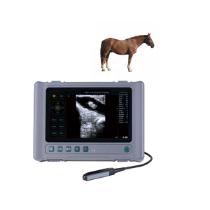 Étanche à l'eau nouveaux matériaux bon prix vache ultrasons Machine chiens ultrasons pour animaux vétérinaire ultrasons prix - Product Image 1
