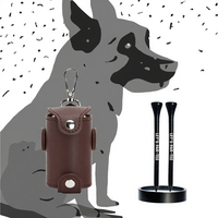 Porte-balles et porte-tee de golf personnalisé en cuir PU, rangement portable pour 2 balles et 2 tees, accessoires de golf