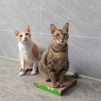 Panneau OEM bon marché d'usine Panneau à gratter interactif pour coin de chat Tampon à gratter en carton ondulé