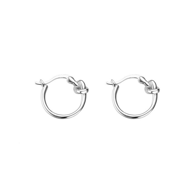 925 Silver Ring Earrings Women's 2022 New Temperament Ear Buckle Small Simple Plain Circle Earrings
