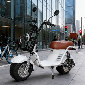 Scooter Eléctrico de Alta Calidad de 1500W para Niños y Adultos, con 2 Ruedas, Motor de 60V, Ciclismo Todoterreno - Product Image 4