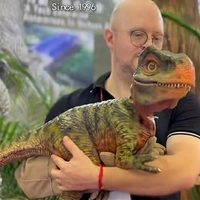 Vente flash : Marionnette de dinosaure pour bébé, dinosaure animatronique grandeur nature, jouets marionnettes à main en vente