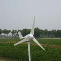 Générateur éolien 400W en promotion – Dynamo éolienne, éolienne domestique 12/24V HAWT