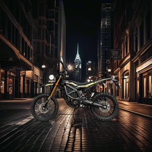 Giá rẻ nhất điện Dirt Bike cho người đàn ông 3C surron Xe máy điện siêu Bee Sur ron 21 kW - Product Image 6