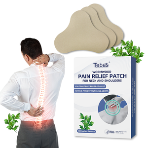 アスリートのためのLijitang高速演技8時間長時間持続救済ワームウッド首の痛み救済プラスターパッチ - Product Image 1
