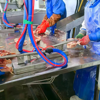 Máquina de succión de pulmones al vacío para aves de corral, extractor de pulmones de pollo para la eliminación de vísceras de pollo, pato, ganso, paloma, codorniz y pescado