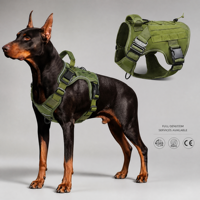Harnais de gilet d'entraînement pour animaux de compagnie en Nylon Offre Spéciale réglable personnalisable multicolore grand harnais tactique pour chien boucle en métal robuste