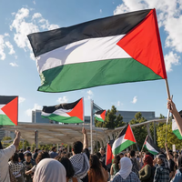 Fabricant de drapeaux, cadeaux promotionnels, bannière publicitaire, drapeaux personnalisés 3x5 pieds, activités d'entreprise, tous pays, Palestine