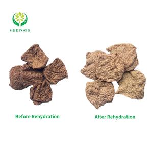 חלאל TVP מרקם ירקות חלבון טבעוני בשר על ידי שאינו GMO סויה חלבון אור תזונה צמחוני בשר סיטונאי TVP עם גלוטן - Product Image 3