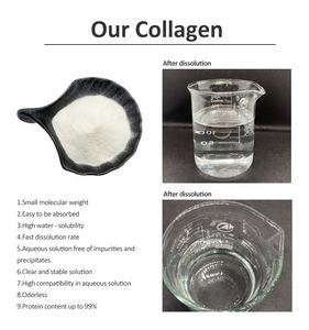 Hydrolysierte Hühner kollagen peptide Typ II Kollagen pulver <span class=keywords><strong>Bulk</strong></span> aus Hühner knorpel-GMP Factory Supply - Product Image 2