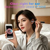 Nettoyeur d'oreilles visuel sans fil, étanche IP67, rechargeable, sonde WiFi en acier inoxydable, 6 embouts en silicone, pour adultes et enfants, soin des oreilles à domicile