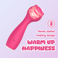 AIERSHA Bestseller Frauen Klitoris Stimulus Silikon Elektro AV Vibrator Zauberstab USB Power Masturbation Sexspielzeug Hot Selling