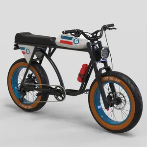 E Bike 2022 nuovo arrivo Fat Tire bici elettrica 250/500/750/1000/1500/2000w Retro Ebike