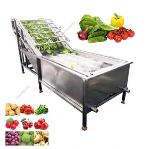 Automatische Fruitwasmachine Fruit En Groente Bubbel Reinigingsmachine Groente Reinigingslijn