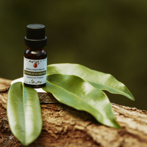 Huile Essentielle Artisanale SAKAY Mandravasarotra Distillée à la Main en Petits Alambics en Cuivre, Durée de Conservation de 3 Ans, pour la Parfumerie de Luxe - Product Image 1