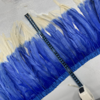 Offre Spéciale – Franges en Plumes de Coq Bicolores de 30-35 cm pour Costumes de Carnaval et Danse Samba