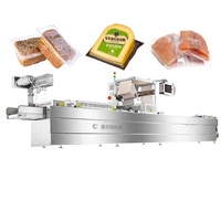 Machine à emballer sous vide automatique pour la viande, le maïs, le poisson, l'ensilage