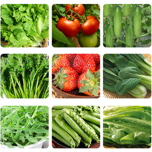 Système d'hydroponie automatique pour la production de micro-légumes solaires ORME, ferme de conteneurs, <span class=keywords><strong>maison</strong></span> - Product Image 6