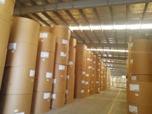 Trung Quốc Nhà sản xuất sinh thái cà phê dùng một lần cốc các tông PE tráng giấy trong cuộn cho cốc giấy bát - Product Image 6