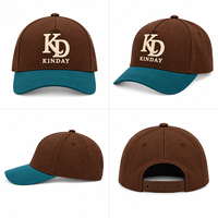 Casquettes de baseball vintage en coton lavé brodé, ajustables, unisexes, certifiées CE, conformes REACH, personnalisables, 5 panneaux, vente en gros