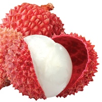 Kme Verkoper Goede Kwaliteit Vers Zoet Lychee Fruit Tegen Goedkope Prijs Vietnam 5-10Kg Karton