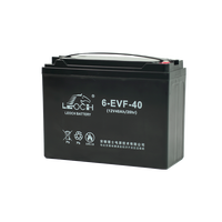 Batterie VRLA GEL 12V 40Ah 6-EVF-40 à décharge profonde pour transpalette électrique, voiturette de golf et équipement d'entrepôt