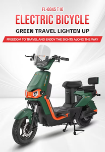 Bicicleta Eléctrica al por Mayor con Dos Asientos para Adultos, 48v/60v, para Desplazamientos Diarios, YHY-T10, Alto Rendimiento, Capaz de Alcanzar una Velocidad Máxima - Product Image 5