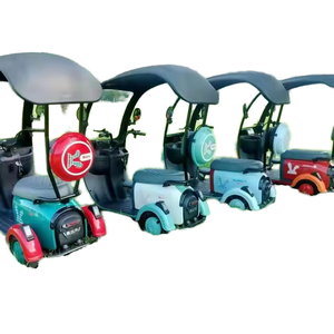 2025 nouveau vélo électrique adulte Pedicab 800W usage familial vélo électrique à 3 roues avec toit ouvert corps 48V tension - Product Image 5