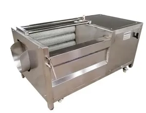 industrial vegetable mushroom ginger onion cleaning processing dates pepper potato washer fruit washing machine