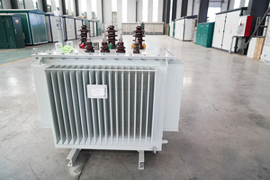 Transformador Sumergido en Aceite de 50 kVA, 100 kVA, 200 kVA, 500 kVA, 1000 kVA, 2000 kVA, 11 kV, 33 kV, Entrada Trifásica de 220 kV, 400 V, 240 V, Serie ZBPW S - Product Image 5