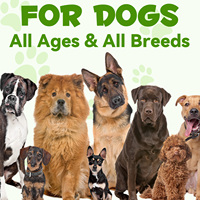 Complément alimentaire liquide probiotique naturel 3 en 1 pour chiens, marque privée, avec enzymes digestives