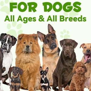 Private Label Natural 3 en 1 Pet Pre and Probiotic Drops Suplemento Líquido Probiótico para Perros con Enzimas Digestivas - Product Image 6