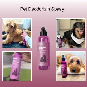Nuovi arrivi Pet Care Dog Spray amichevole profumo per animali domestici eliminatore di odori per cani e gatti senza risciacquo senza alcool Spray deodorante per cani - Product Image 5
