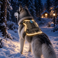 Harnais LED pour chien Qcool, visible la nuit, avec éclairage latéral lumineux, sangles en nylon renforcées, vente en gros B2B, pour la marche en extérieur