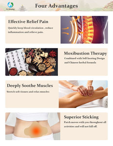 Lijitang OEM Nhãn Hiệu Riêng 100% Tự Nhiên Chines Thảo Dược Cao Hiệu Quả Thắt Lưng Đau Cột Sống Vá - Product Image 4