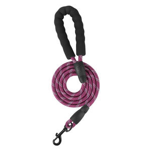 Laisse pour chien en nylon de 1,5 m de haute qualité, personnalisée, résistante aux morsures, réfléchissante, non extensible, pour animaux de compagnie - Product Image 6