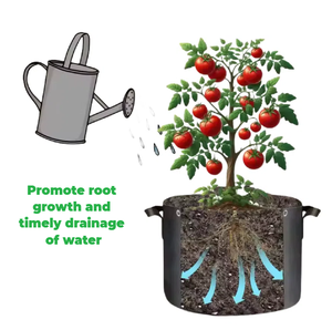 Sac de plantation <span class=keywords><strong>en</strong></span> feutre poreux personnalisé Sacs de culture de fraises de jardin <span class=keywords><strong>en</strong></span> feutre avec poignées - Product Image 5