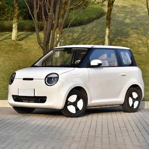 New Energy Vehicles Lumin Mini Electric New Energy Vehicle Used Car For Adult