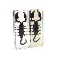 Oferta Especial: Modelo de Escorpión Artificial Transparente en Resina, Taxidermia, Rectangular, Impermeable, Educativo, Personalizable