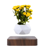 Maceta de aire de levitación geométrica blanca moderna con maceta flotante magnética Base de madera oscura hecha de plástico