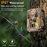 Exclusiva nueva 36MP 8K cámara de caza al aire libre GPS inalámbrico 4G LTE APP cámara de rastreo con sensor infrarrojo para fotografía de campo de animales