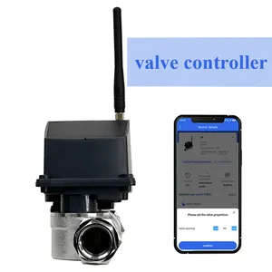 Solar Power 4G/LoRa Smart Drip Irrigation Ball Valve Solenoid Valve With Motor Control For Orchard Farm Drip System