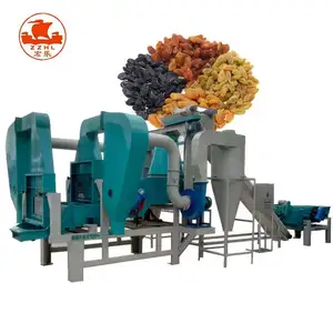 Nuovissima linea di produzione di uvetta macchina per il lavaggio dell'uvetta macchina per frutta secca con alta qualità