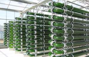 Dispositivo de Cultivo de Espirulina Fotoreator - Product Image 3