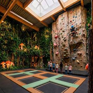 Parque Infantil Interior Personalizado con Diseño de Bosque de Hongos Morandi, Laberinto de Juego Suave No Inflable, Toboganes, Piscina de Pelotas y Trampolín - Product Image 2
