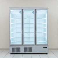 Réfrigérateur Commercial à Porte Vitrée pour Boissons, Vitrine Réfrigérée Verticale, Congélateur, Prix Usine