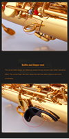 Starway Custom High Quality Alto Saxophone E Flat Brass Body Wind Musical Instruments for Professional Band
